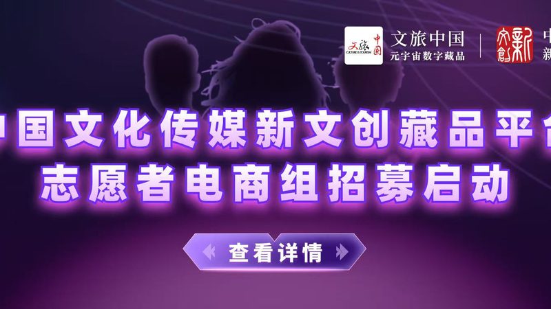科技公司VI设计代理加盟：揭秘品牌形象塑造的关键步骤